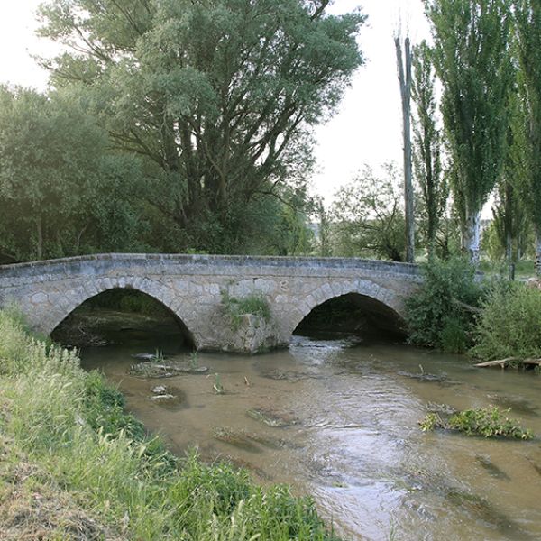 Puente-medieval-sobre-el-rio-Los-Ausines