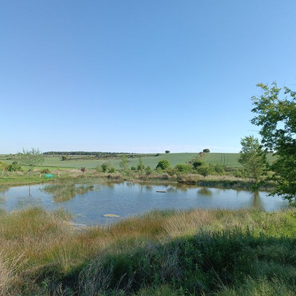 Una-de-las-cuatro-lagunas-cercanas-al-pueblo