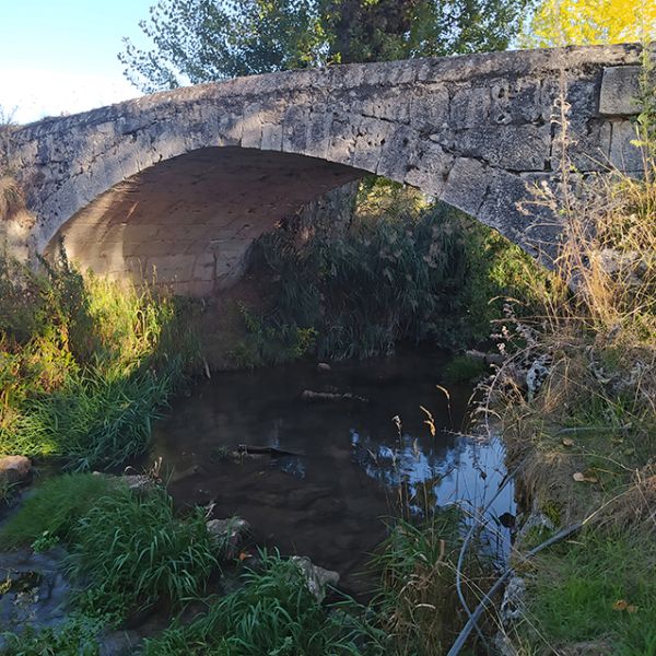 Uno-de-los-puentes-de-la-localidad